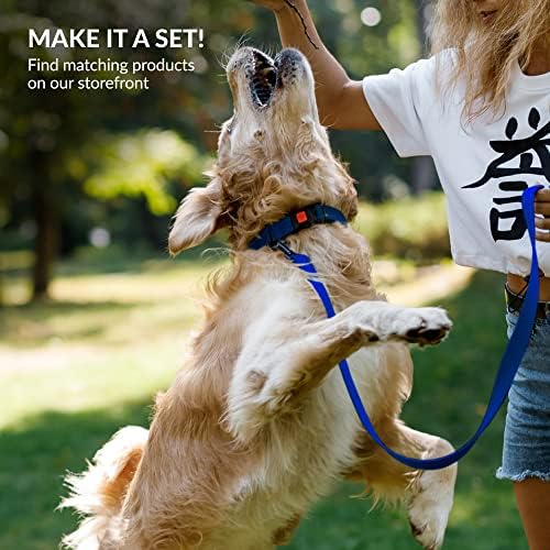Reflective Dog Collar, Quick-Release Buckle (Blue, 12-16 Inch)