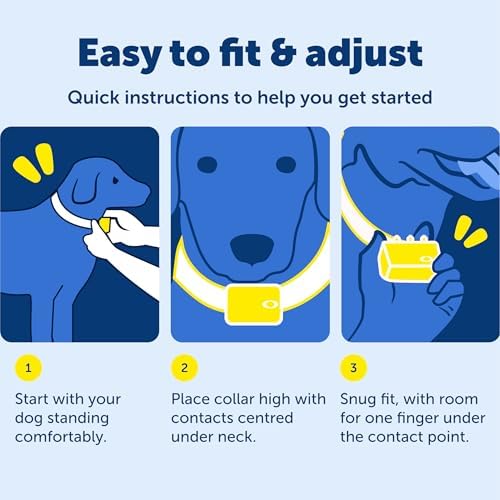 PetSafe 100 Yard Remote Trainer, Rechargeable, Waterproof, Tone / Vibration / 15 Levels of Static Stimulation for dogs over 8 lb.