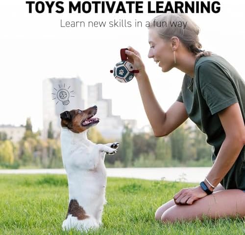QDAN Small Dog Toys, Puppy Balls, Dog Balls with Straps for Small Breed
