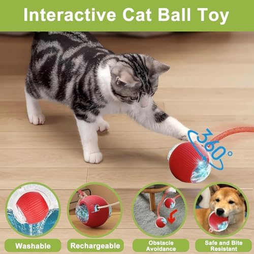 2 Pack Interactive Cat Toy Balls for Indoor with Elastic Mesh Tail