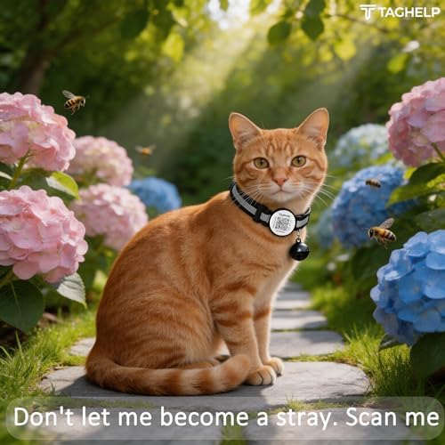 Reflective Kitten Collars with Bell,Cat Collar Breakaway with QR Code Name Tag, Cat ID Tag Personalized, Ultra-Durable, Adjustable, Quick Release, Fits Most Girl Boy Small Large Cats (Black)