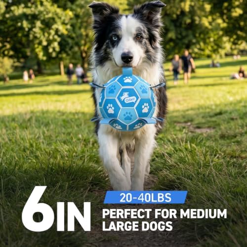 QDAN Dog Balls, 6 Inch Soccer Ball with Straps for Dogs, Outdoor Dog Toys