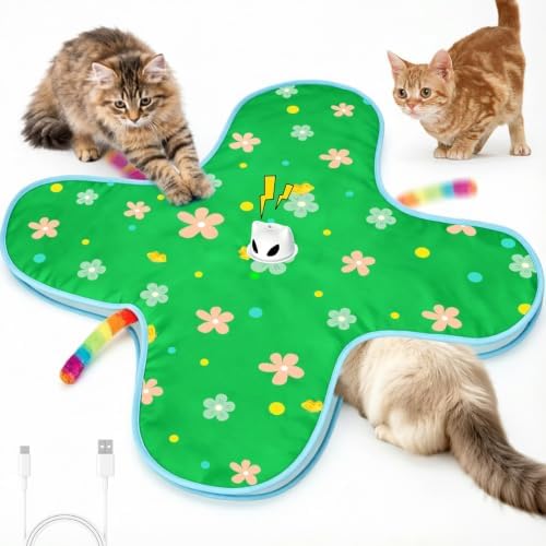 Interactive Cat Toys for Indoor Cats, Rechargeable Hide & Seek Toy