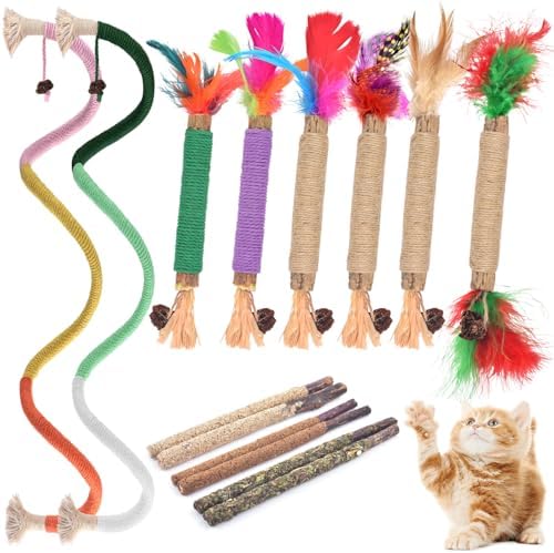 TINDTOP Cat Chew Toys, Silvervine Chew Sticks with 2 Pack Chew Ropes