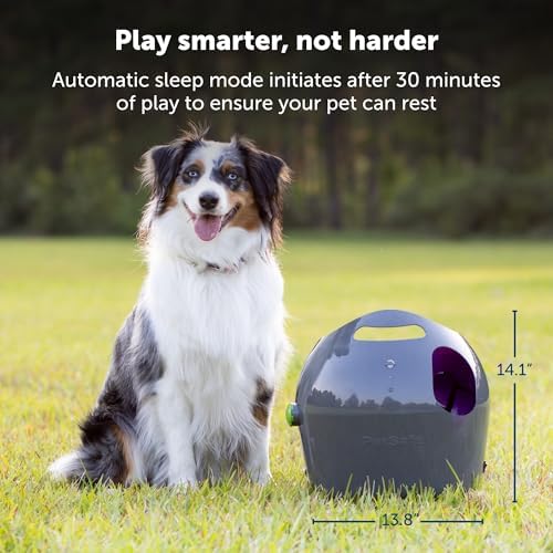 PetSafe Automatic Dog Ball Launcher
