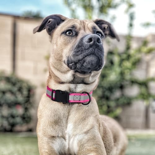 Dogline BioThane Reflective Dog Collar – Waterproof Heavy Duty Dog Collars – High Visibility Quick Release Dog Collar with Sturdy Buckle – Fun Modern Colors – Comfortable and Safe