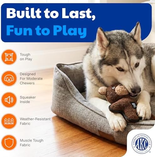 American Kennel Club Plush Dog Toy with Squeaker for Moderate Chewers, Soft Stuffed Dog Toy for Tugging, Fetch & Interactive Play, Gentle on Teeth