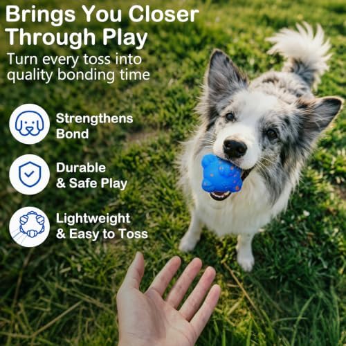 Interactive Dog Ball, Moving Dog Toy