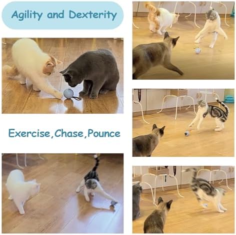 Migipaws Interactive Cat Ball Toy Set, Fun Tracker, Automatic Rolling Chase Ball with Fluffy Tail, A Small Mice, Rechargeable (Orange)