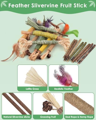 Bissap 20PCS Silvervine Chew Sticks, Catnip Chewing Toy for Cat Kitten