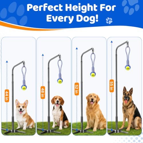 Tether Tug Outdoor Dog Toy Spring Pole, 3 Ropes for Tug of War