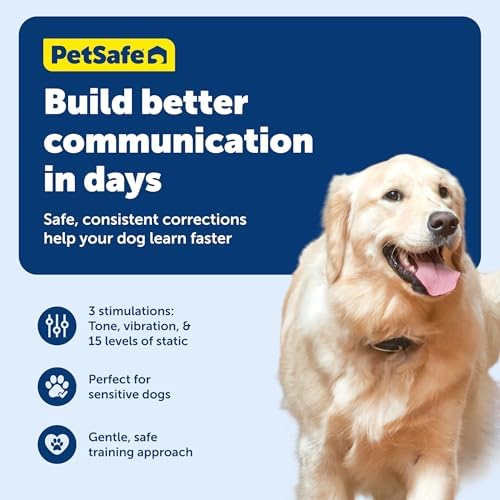 PetSafe 300 Yard Remote Training Collar – Smaller Version for Small or Medium Dogs – Choose from Tone, Vibration, or 15 Levels of Static Stimulation – Medium Range Option for Training Off Leash Dogs