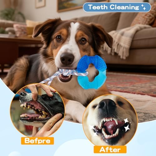 Dog Chew Toys for Aggressive Chewers, Multiple Textures & Rope, ndestructible Tough Durable Interactive Dog Toys, Puppy Chew Toys for Teething， The Large Blue Circle