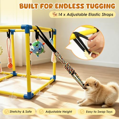 XIAPIA Puppy Play Gym with 14 Hanging Toys, Indoor Puppy Gym for Small Dogs