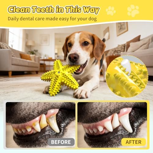 Dog Chew Toys Interactive Tough Floating Squeaky Toy