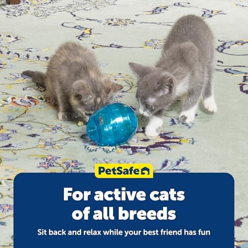 PetSafe Egg-Cersizer Interactive Cat Slow Feeder Toy | Kibble and Treat-Dispensing Cat Toy for Portion Control and Fast Eaters, Improves Digestion, Enrichment Exercise