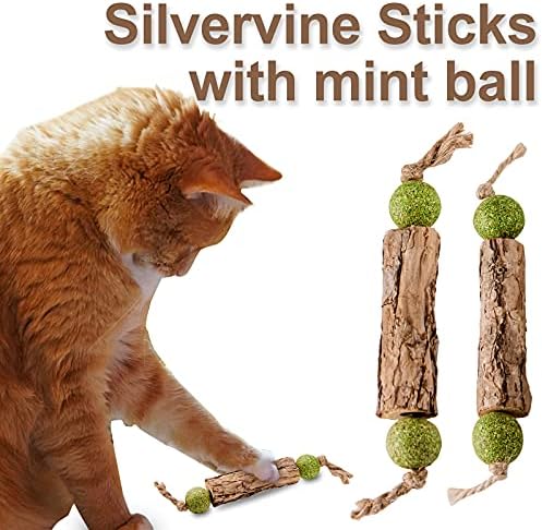 Silvervine Sticks for Cats, 5 Pack Natural Catnip Chew Toys