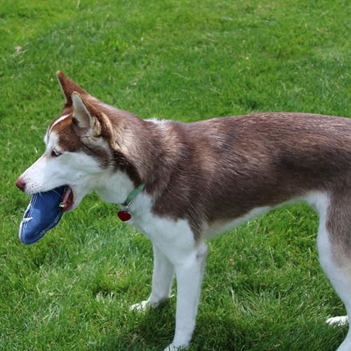 SPOT Dura-Fused Colors Fish - Colorful Leather Dog Toys with Squeaker, Made with Real Leather and Jute Fabric, Durable Stuffed Toy for Dogs and Puppies, 7in, Color and Style May Vary