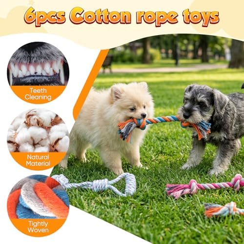 Aitmexcn 20 Pcs Puppy Toys for Small Dogs, Puppy Teething and Chew Toy Set with Squeaky Plush Toys, Treat Ball, Rubber Teething Rings and Rope Toys