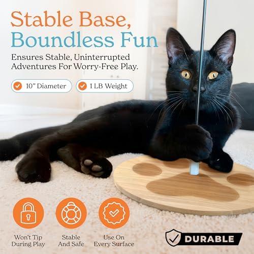 Cat Toys For Indoor Cats: Interactive Cat Toy Wand, 9 Feathers Wand Lures