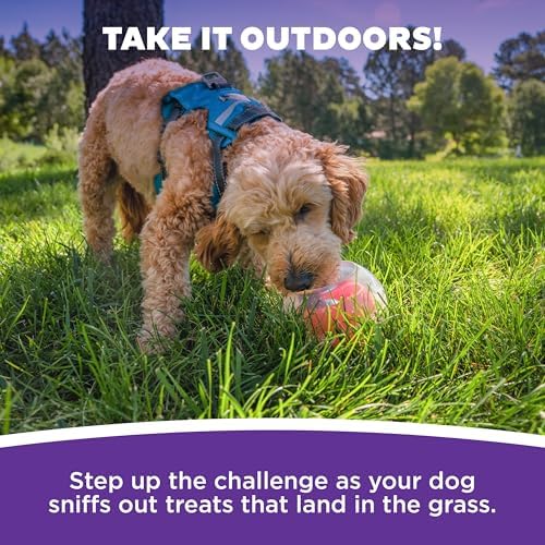 Outward Hound by Nina Ottosson Topsy Treat Ball Dog Puzzle, Level 1 Beginner, Orange