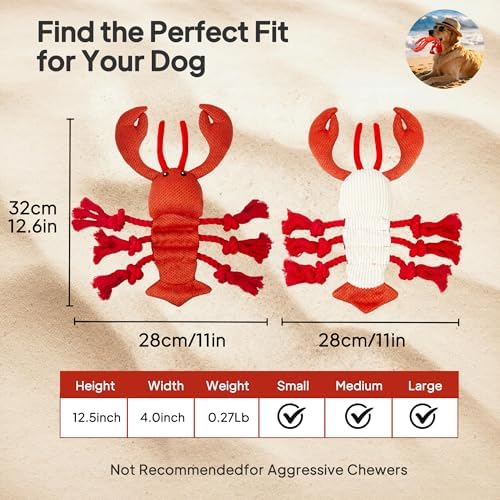 TwoEar Lobster Squeaky Dog Toys, Plush Chew Toy with Tug Rope