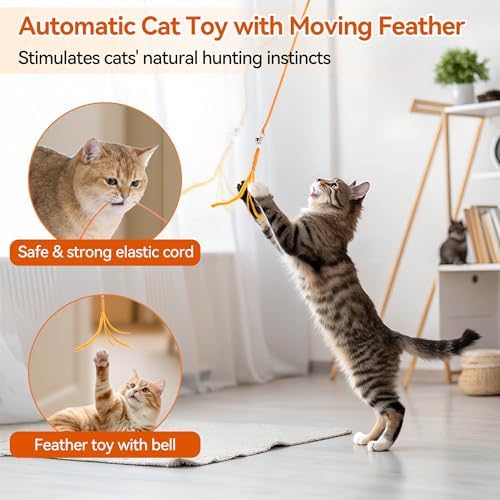 ALL FOR PAWS Interactive Cat Toy for Indoor Cats, Automatic Door Hanging Feather Wand Toy, USB Rechargeable Self-Playing Cat Toys for Adult Cats & Kittens, Boredom Relief & Enrichment