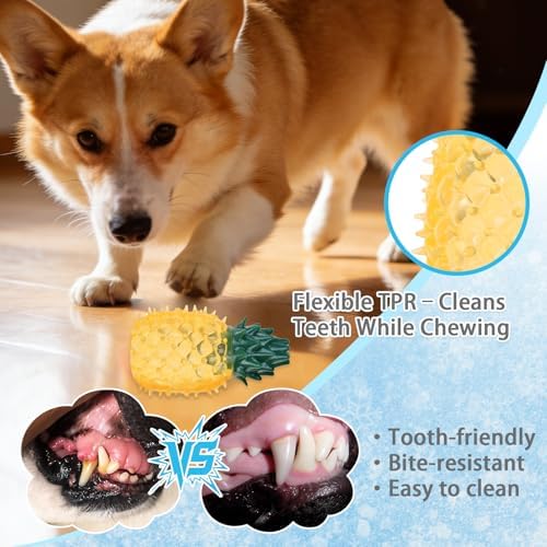 Cooling Chew Toys, 6 Pack Freezable Teething Toy Set for Puppies, Chew Toys Squeaky Fruits & Dessert Shapes Dog Toys, Frozen Dog Teethers for Small Medium Breeds,Summer Interactive Treat Tools