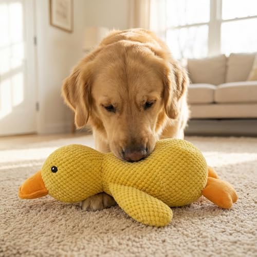 JINTONE Squeaky Dog Toy Duck,Funny Dog Toy for Dogs(Yellow,Medium)