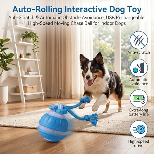 Interactive Dog Toys Automatic Rolling Ball with Rope Blue