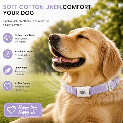 AirTag Dog Collar with QR Code ID, Dog Collar with Air Tag Holder,Purple, M