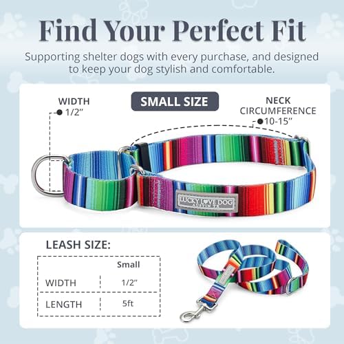 Lucky Love Dog Martingale Collar & Leash Set Cute – Nacho Color and, Small