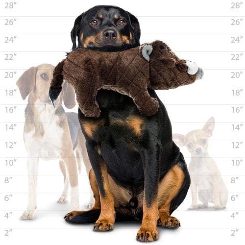 MIGHTY Tuffy 2 Pack Warthog Dog Toys