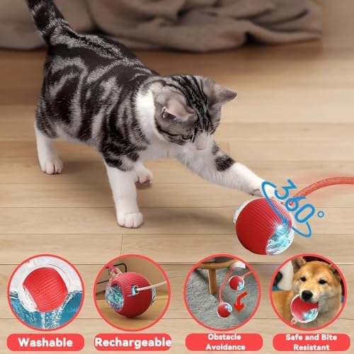 Speedy 2.0 Tail 2 Packs Interactive Cat Toys for Indoor Cats, Automatic Cat Toy with Elastic Mesh Tail, Electric Rolling Ball on Carpet, Chirping and Motion Activate Cat