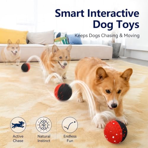 HETOO Interactive Dog Toys, Automatic Dog Balls with Remote Control, Smart Bouncing Ball, 3 Speed Levels, Indoor Puppy Toys to Keep Dogs Busy, Enrichment Toy for Small Medium & Large Dogs, 3.2 Inch