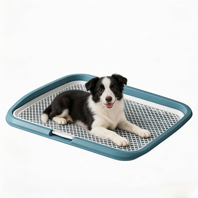 Dog Potty Tray with Guide Pillar, 25.6"x19.7" Large Indoor Pet Pee Pad Holder, Heavy Duty Dog Litter Box, Removable & Washable Puppy Training Toilet for Housebreaking Supplies (Blue)