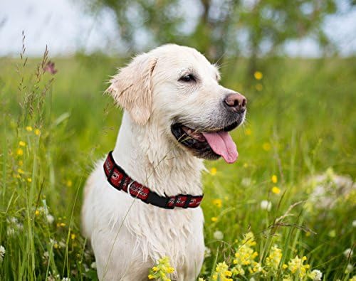 NHL Carolina Hurricanes Collar for Dogs & Cats, Large. - Adjustable, Cute & Stylish! The Ultimate Hockey Fan Collar!