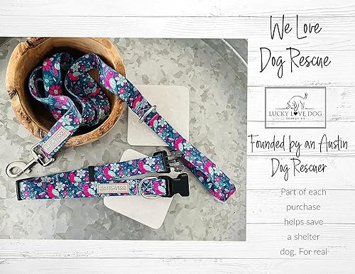 Lucky Love Dog Martingale Collar & Leash Set No Slip – Carriebelle, Medium