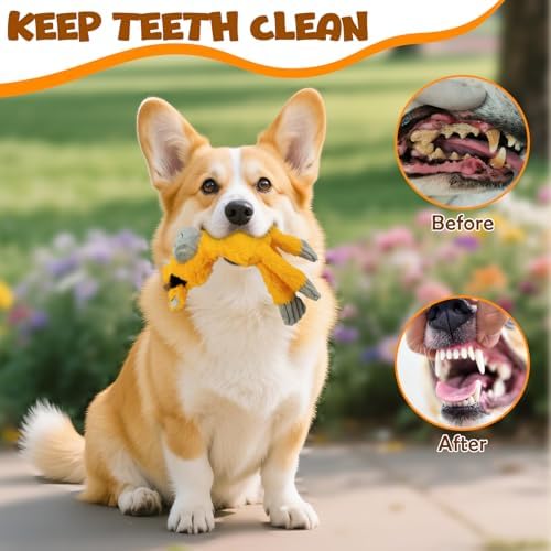 No Stuffing Dog Toys 2 Pack Squeaky Crinkle Plush Animal Toy