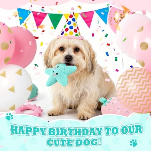 RoundFunny 11 Pcs Dog Birthday Toy Gift for Dog Birthday Cake Puppy Girl Boy Squeak Toys Interactive Puppy Gift with Box for Small Medium Size(Stylish,Mixed Color)