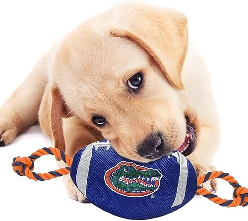 Pets First NFL Unisex NFL Nylon Football
