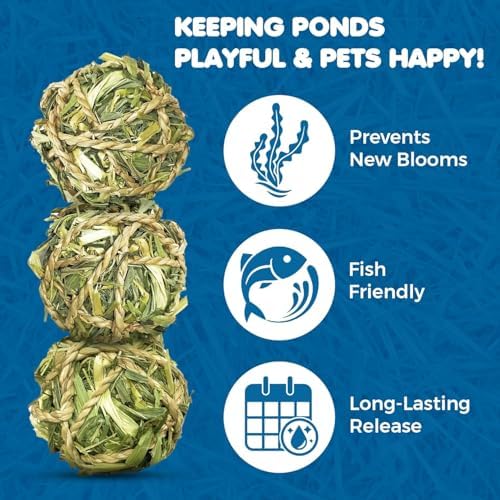 SunGrow Assorted Rabbit & Cat Chew Balls, Teething Activity Toy for Pocket Pets, Improves Dental Health, Environment Friendly, Stress Reliever (Barley Grass Ball, 3 Pcs)