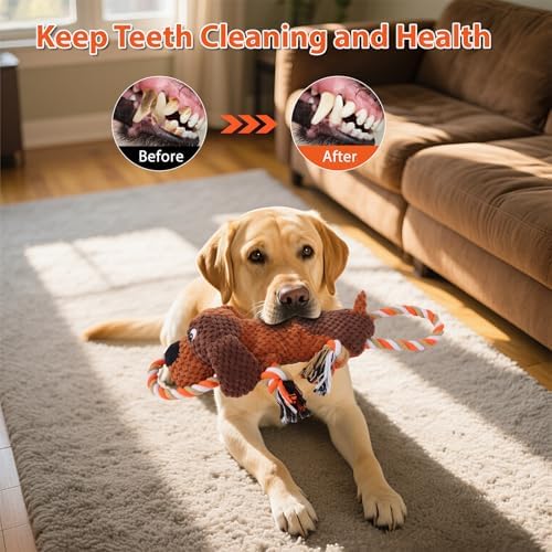 Drmstow Dog Toys for Aggressive Chewers, Squeaky Plush Chew Toy with Crinkle, Interactive Rope Tug of War Toy for Large Dogs to Keep Them Busy