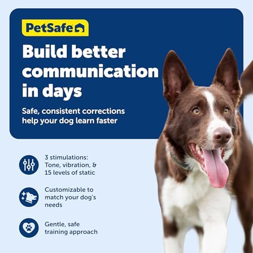 PetSafe 100 Yard Remote Trainer, Rechargeable, Waterproof, Tone / Vibration / 15 Levels of Static Stimulation for dogs over 8 lb.
