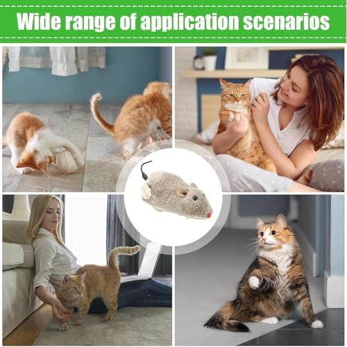 Brown Wind Up Mouse - Mouse Hunting, Feathered Cat, Interactive Wind Up for Cats Life Like Simulation, Rats Chasing Interactive for Indoor Kitties Cat Mice and Animals