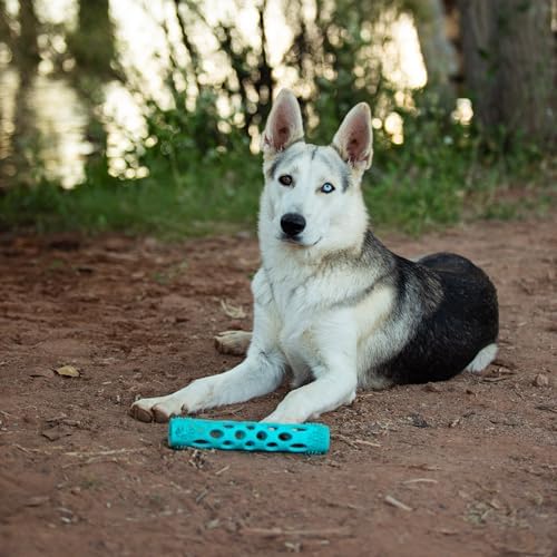 Messy Mutts Totally Pooched Huff n Puff Stick, 10 Inch, Puzzle, Teal