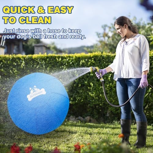 18'' Herding Ball for Dogs, Heavy Duty for Small & Medium Breeds