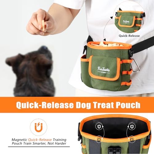 Dog Treat Pouch with Magnetic Closure for Pet Training