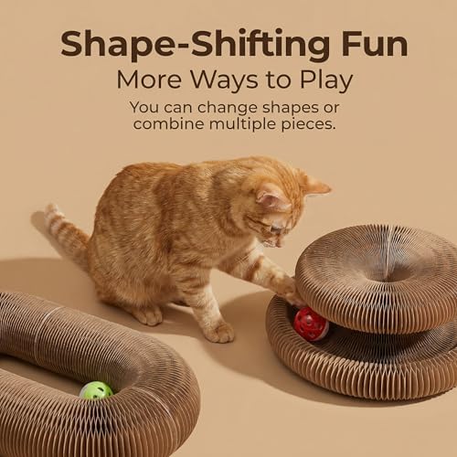 Interactive Cat Toy & Cardboard Cat Scratcher, Round Single-Layer Track