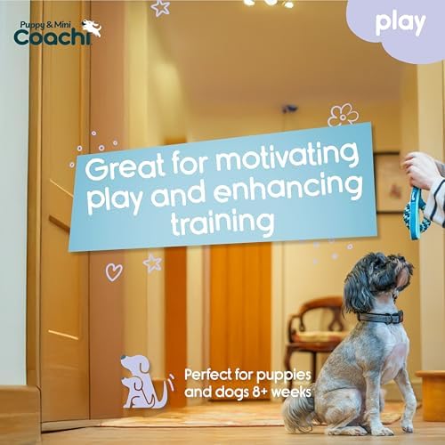 Coachi Puppy & Mini Tuggi Helix - Dog Toy for Tug of War & Play
